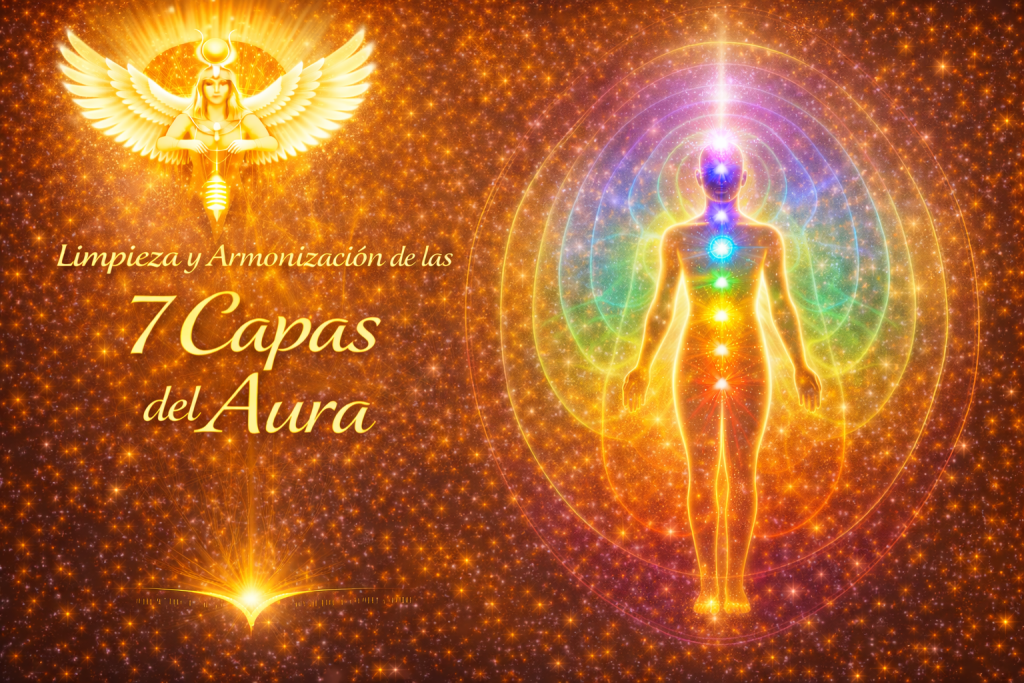 chatgpt image 9 feb 2026, 22 47 53